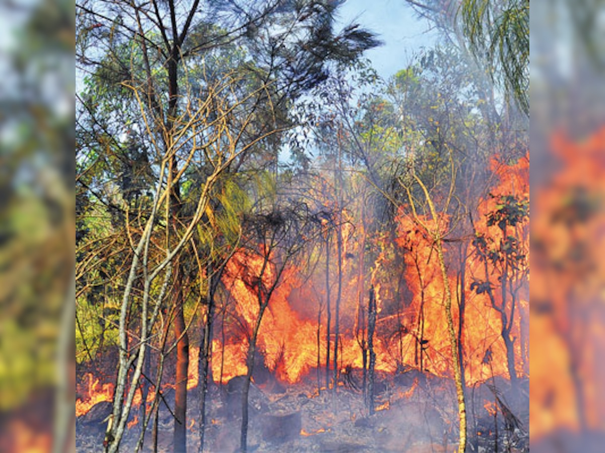  IAF joins operation to douse Tirumala fire