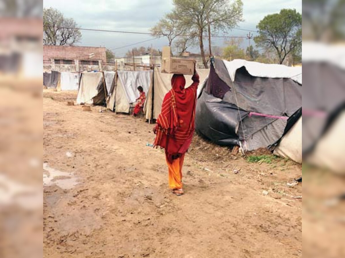 Riots bring Jats, Dalits on the same page