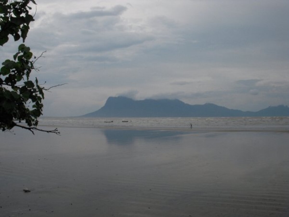 Go jungle trekking at Bako National Park