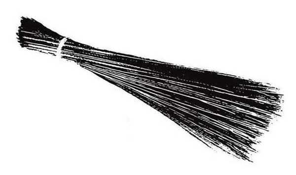 Lok Sabha Elections 2014: Know your party symbols!
