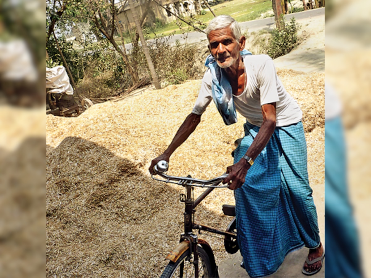 How NREGA and food security will impact poll outcome in Bihar