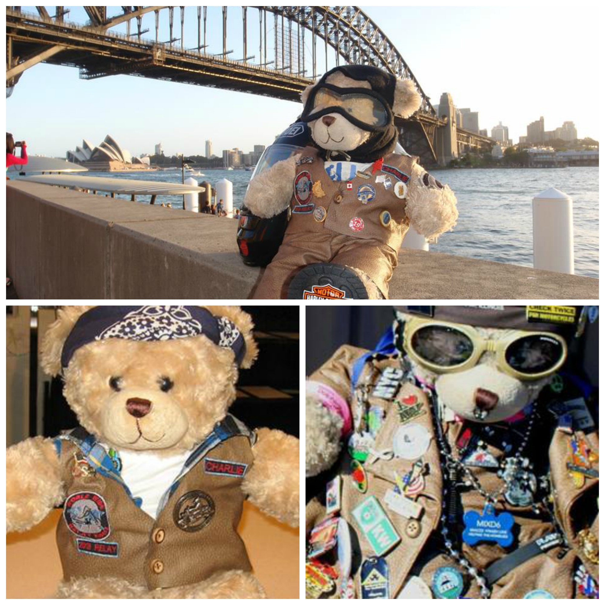 teddy bears for a cause