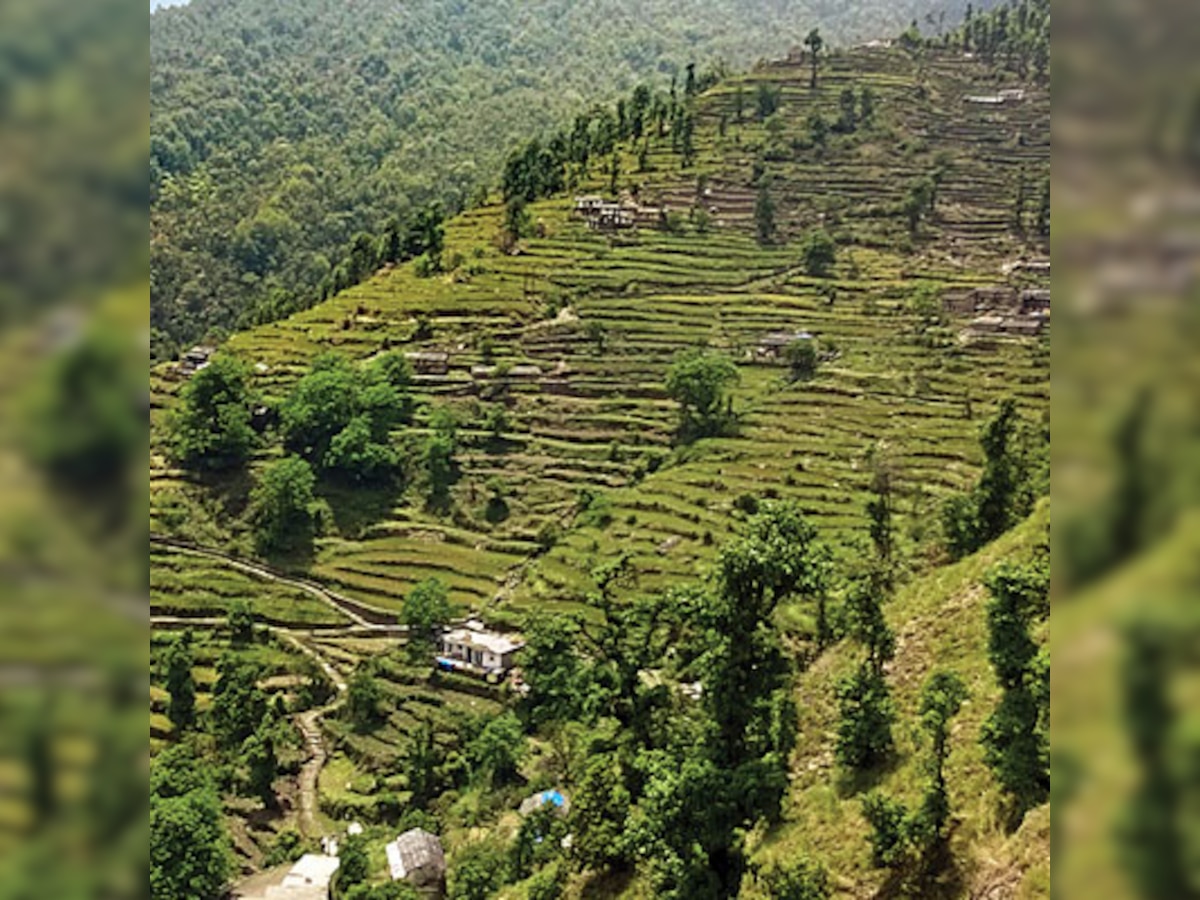 Uttarakhand's Chaumasi: A remote outpost, this village is not cut-off from politics