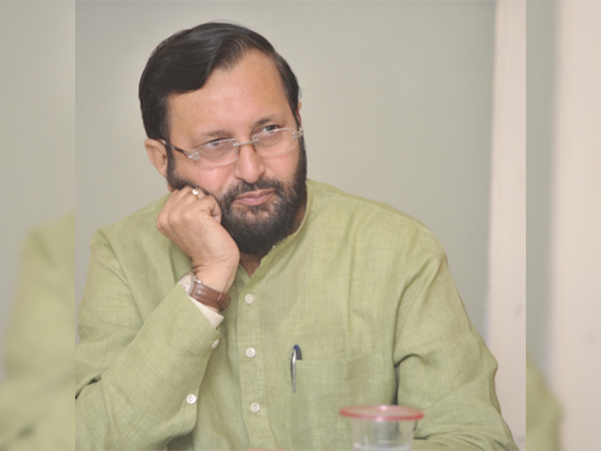 Prakash Javadekar to fast track 200 projects, keeps mum on Lavasa