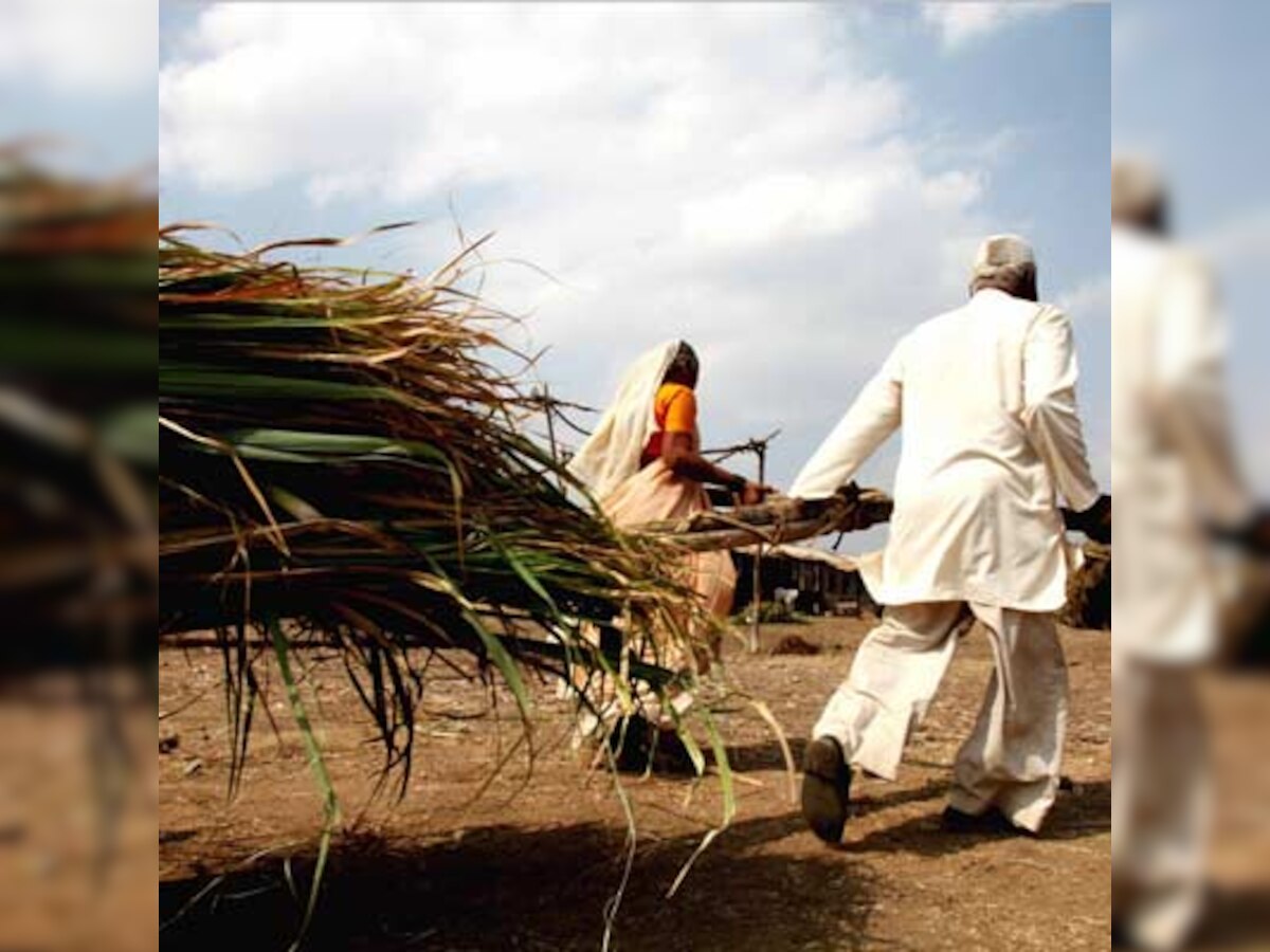 Maharashtra govt mulls legislation to check fake seeds, fertilisers