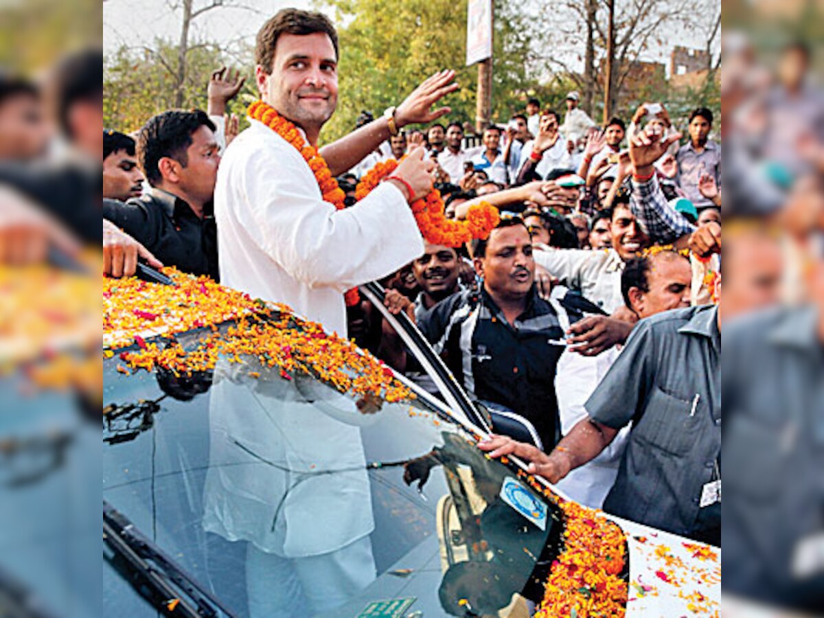 Congress celebrates Rahul Gandhi's 44th birthday with fanfare at 10 Janpath in his absence