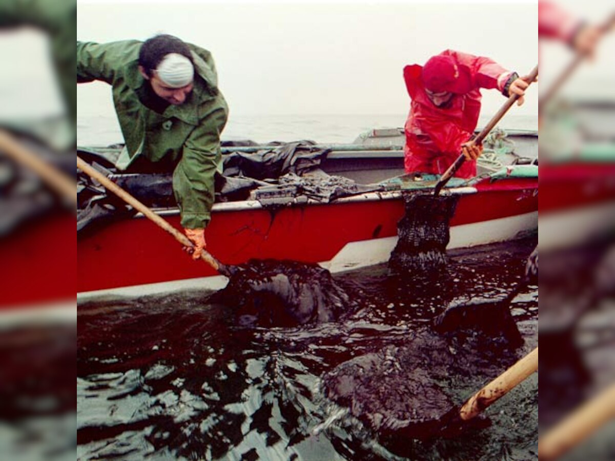 Oil from BP spill slowing one of ocean's fastest fish - scientists