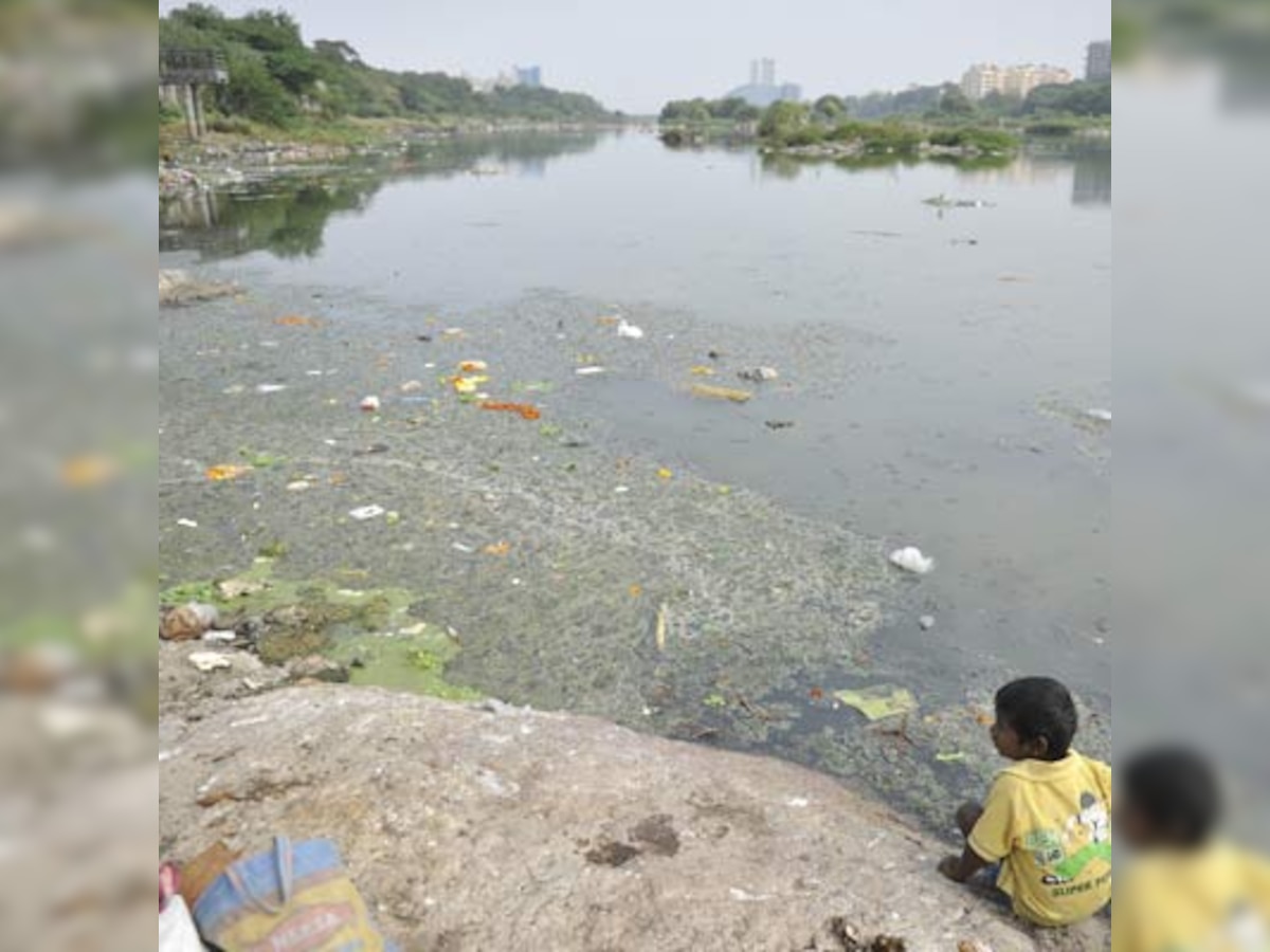 Goa's Mandovi river water unsafe for swimming, fishing: Pollution control board