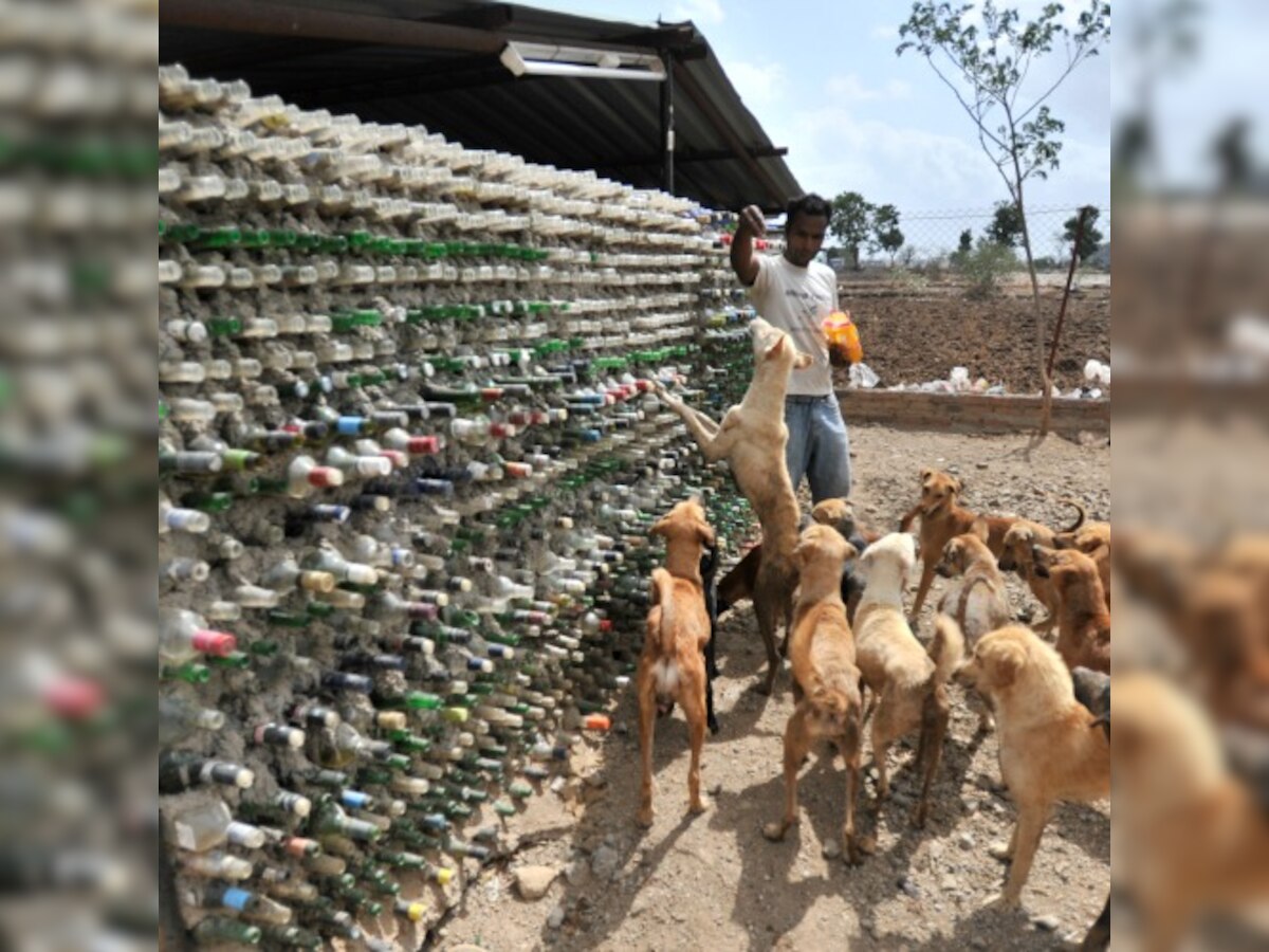 How this animal shelter in Pune was built using plastic bottles