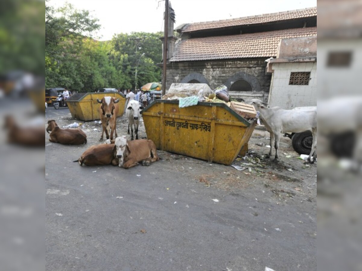 PCMC officials get notice for waste management