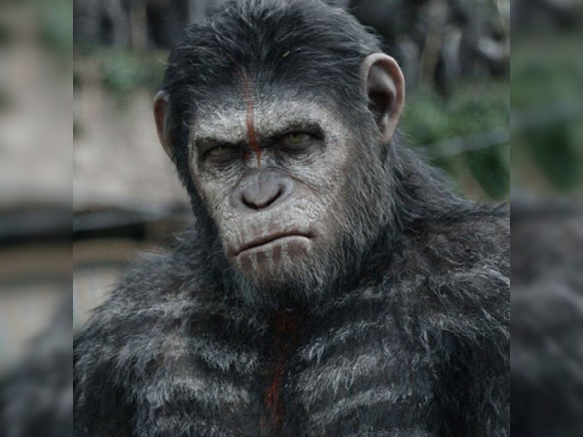 Film Review: 'Dawn Of The Planet Of The Apes' is one of the finest action films you will see this year