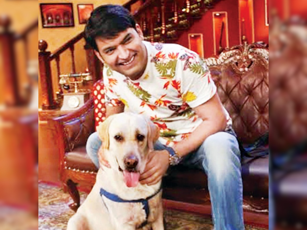 Kapil Sharma adopts abandoned dog Zanjeer