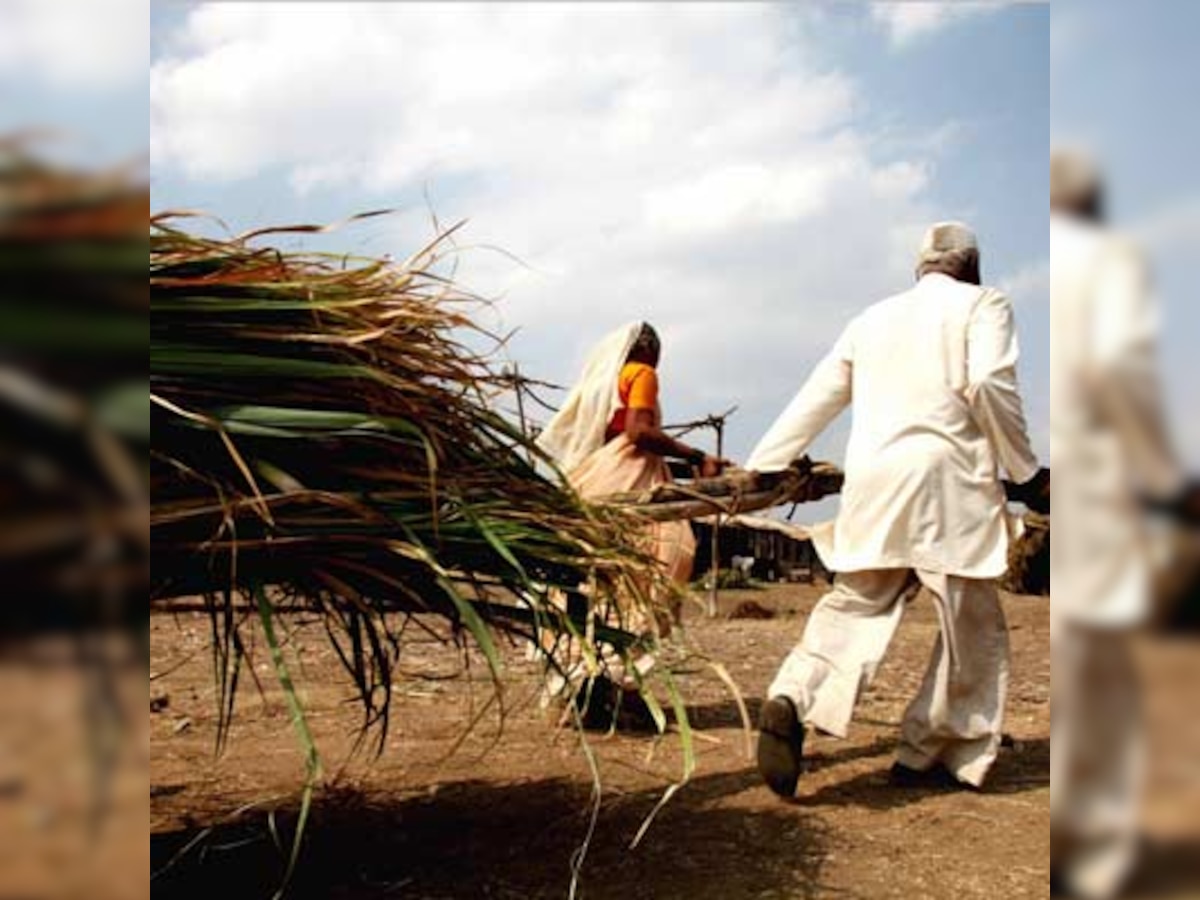 Voters still bank on farmers as their representatives in Parliament