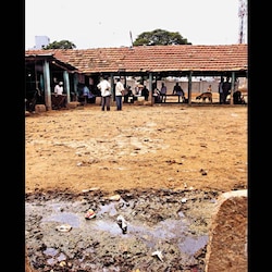 Slaughter houses pay no heed to Karnataka Pollution Control Board