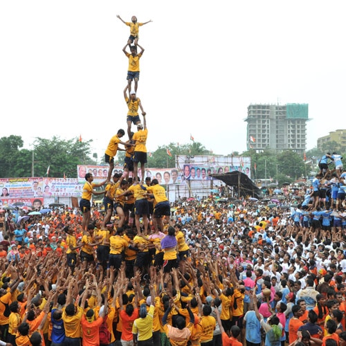 dahi handi tshirt