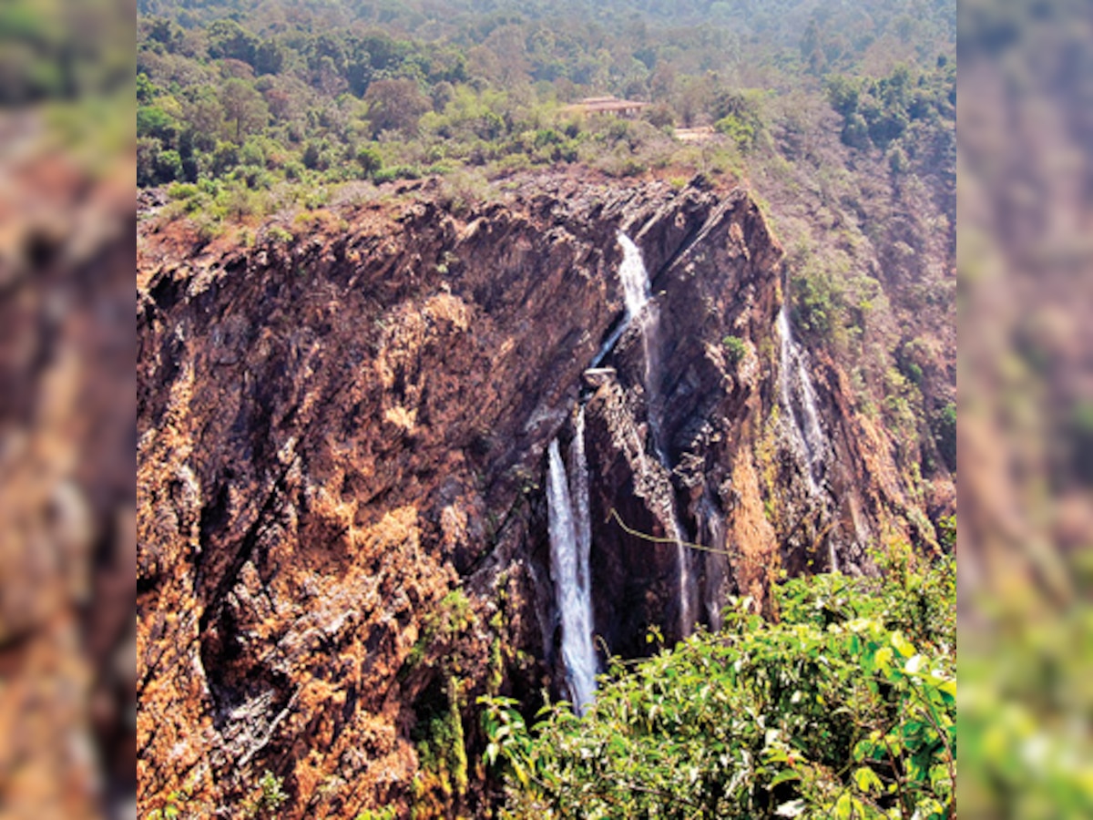 Government junks Madhav Gadgil report on Western Ghats