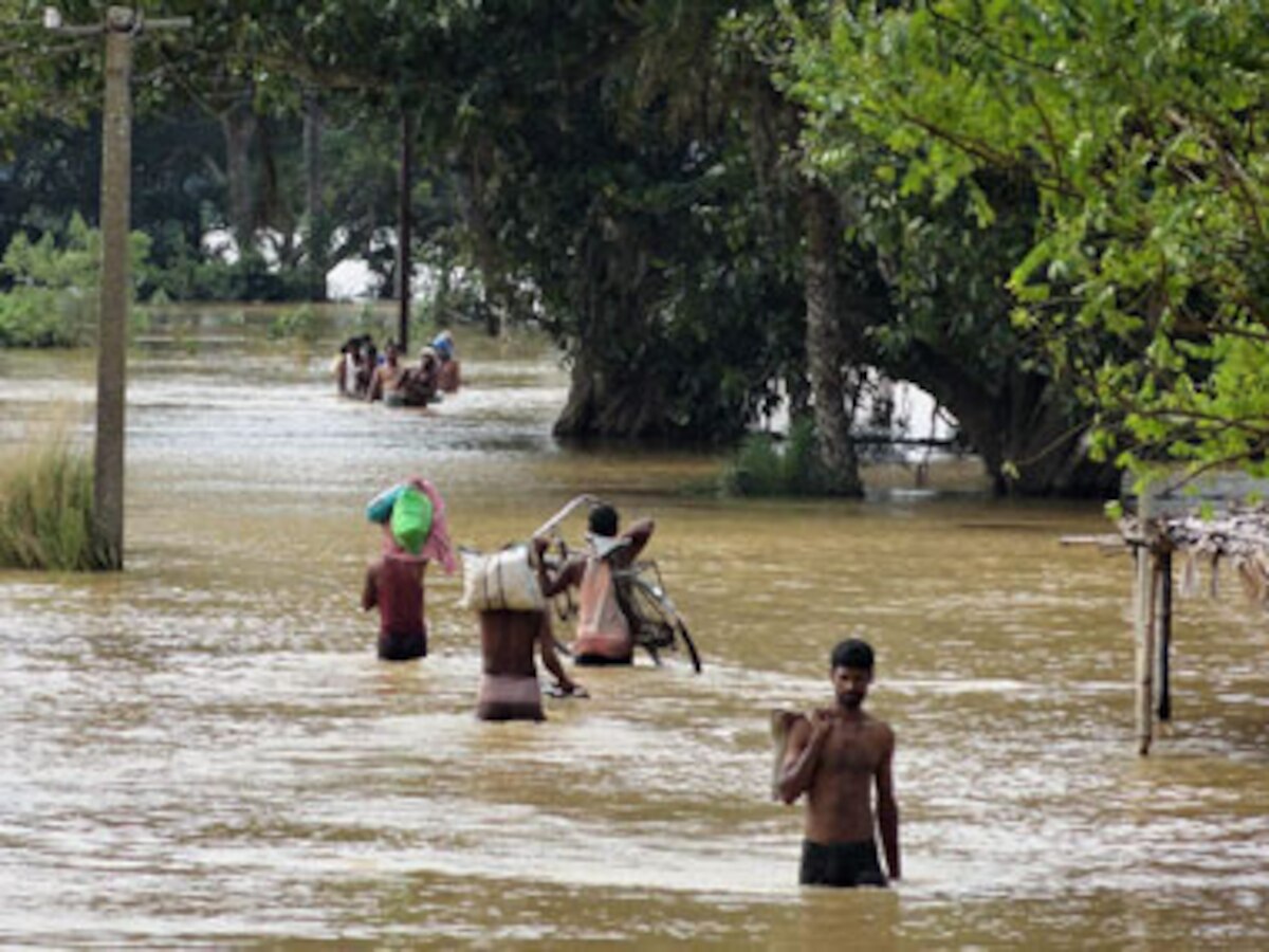 Flood-like situation in Vadodara, Vishwamitri river in spate