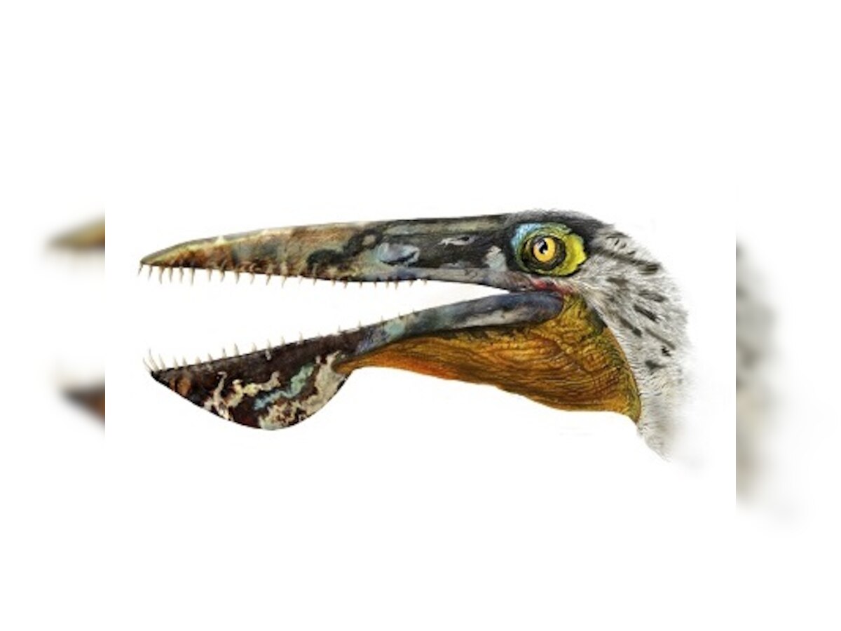 Ancient flying reptile named after from creature James Cameron's 'Avatar'