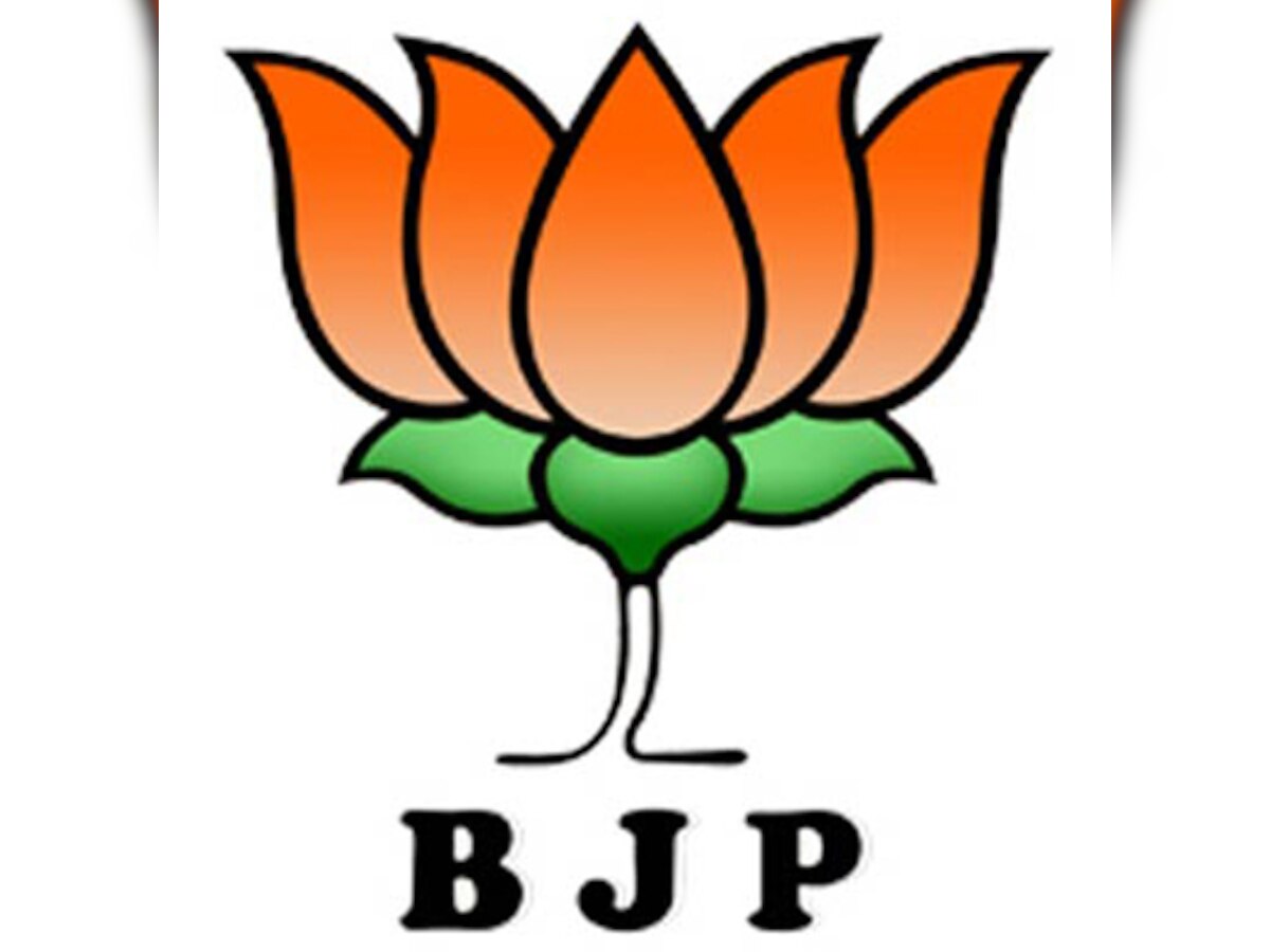 Armed forces deserve salutes, not stones in Kashmir: BJP