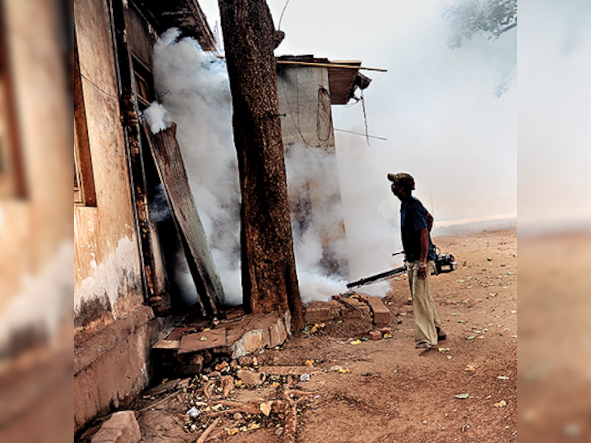 BMC prosecutes 638 individuals, housing societies on dengue spots