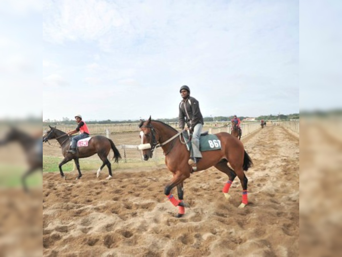 Asian Games: Indian women riders perform miserably at Equestrian event