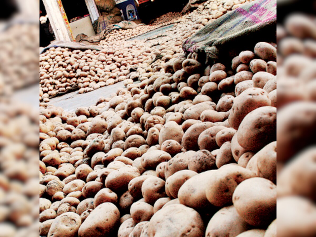 Curious case of potatoes