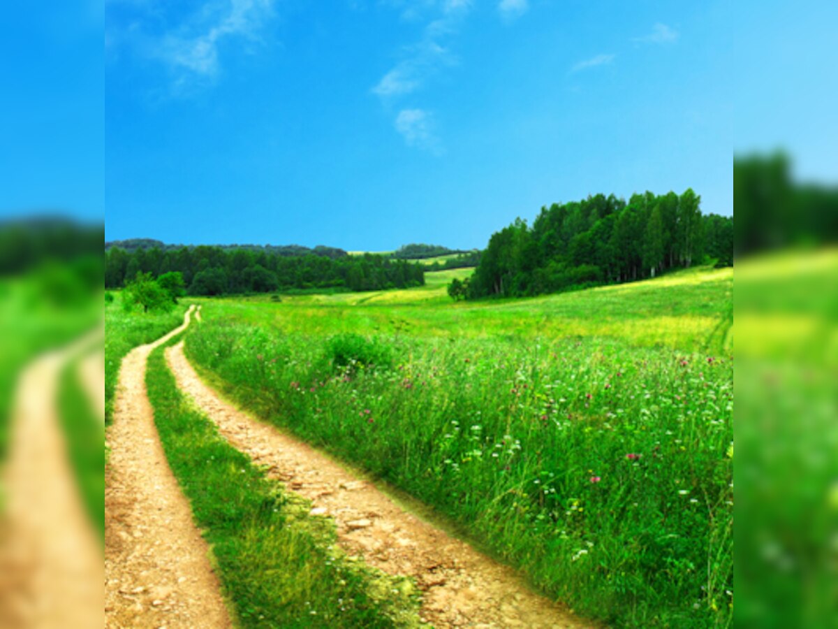 Spiritual Fridays: 7 Roads to Serenity