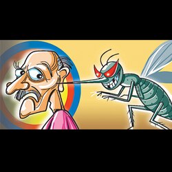 Aedes at home in Mumbai: Over 300 Dengue cases in Mumbai