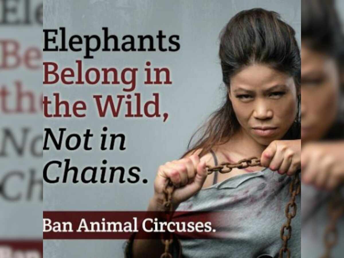 Boxer Mary Kom lends support to PETA campaign for elephants