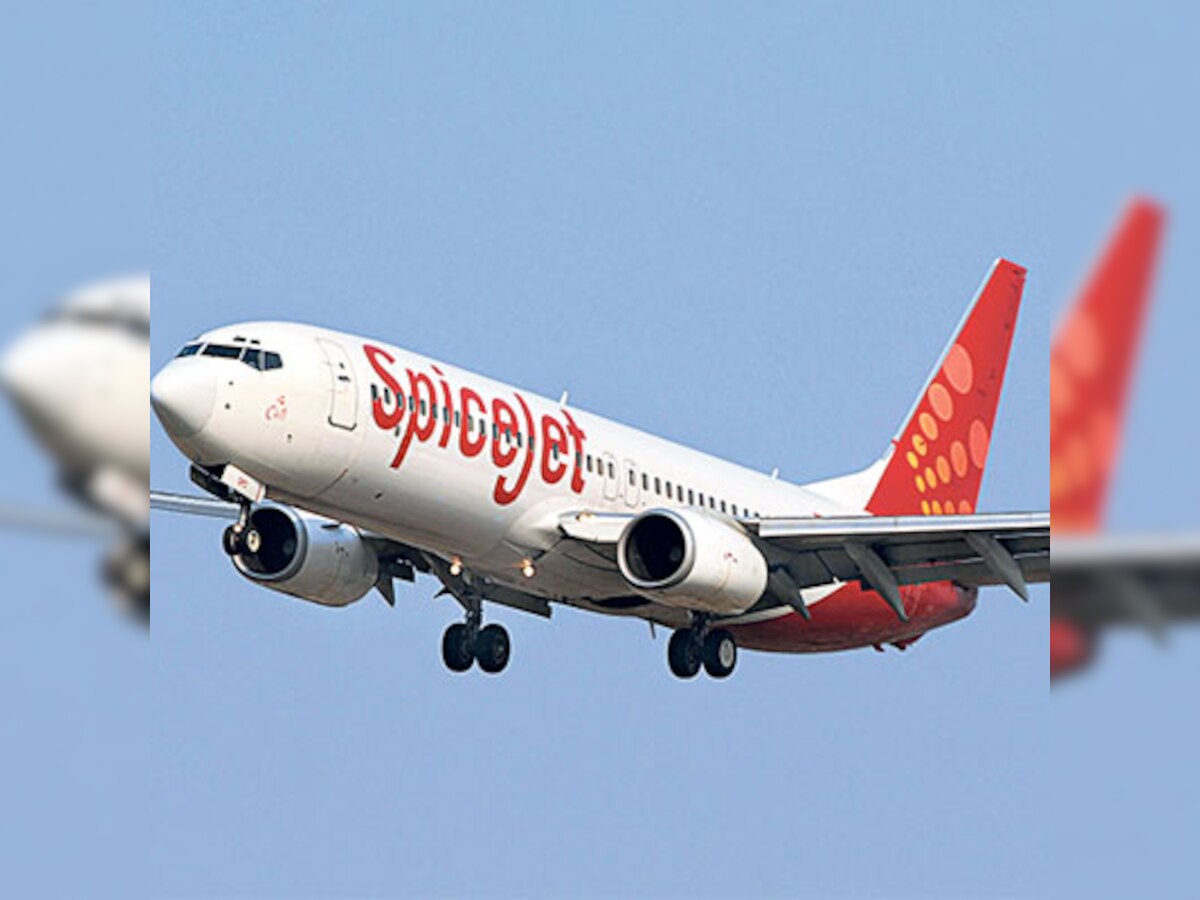 SpiceJet flight hits animal before take-off at Surat airport, flights suspended