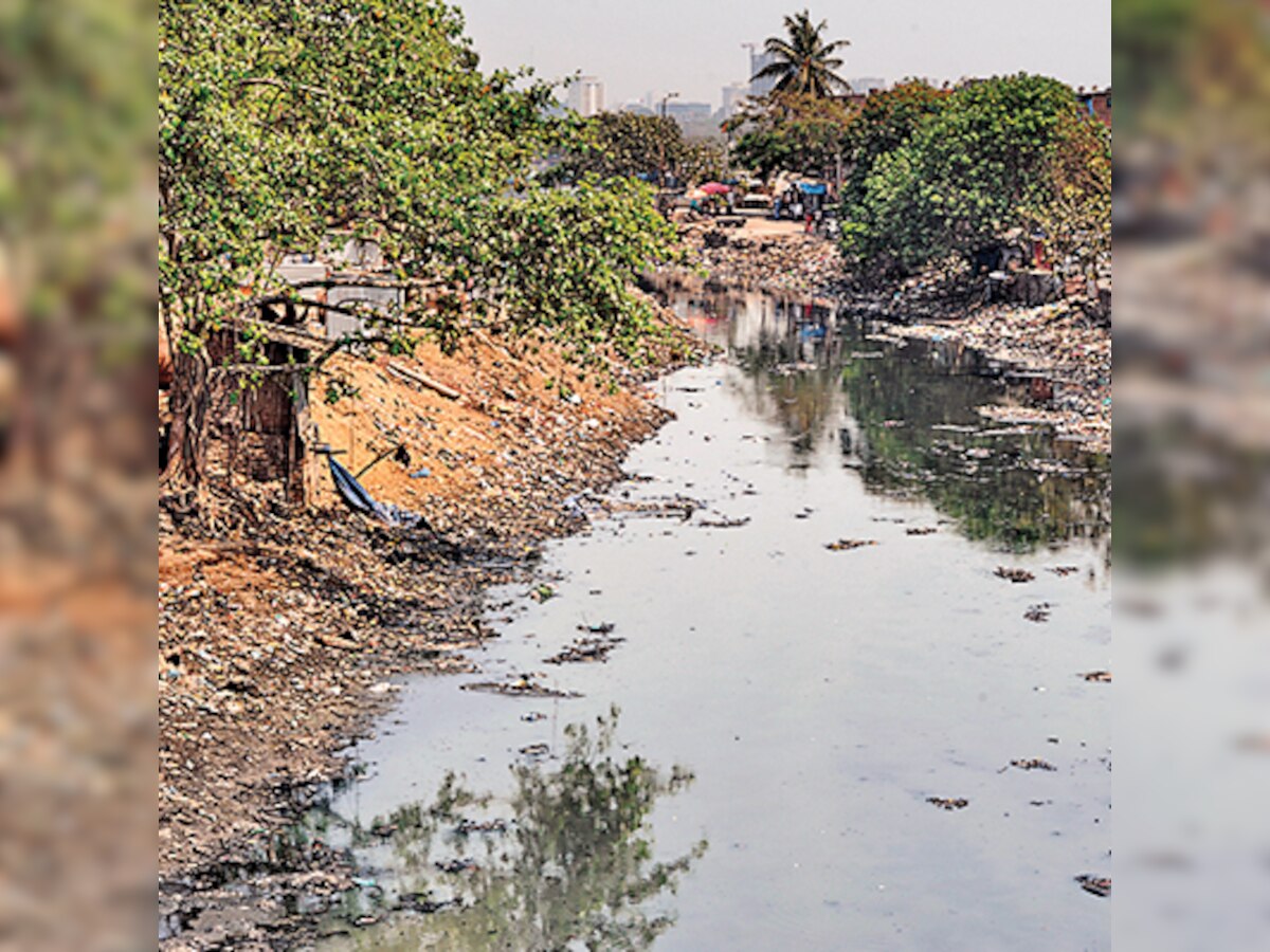 IIT-B survey on possibilities of rejuvenating Mithi river