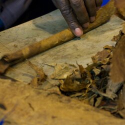 Cuba's famed cigars get a foot in door of US market