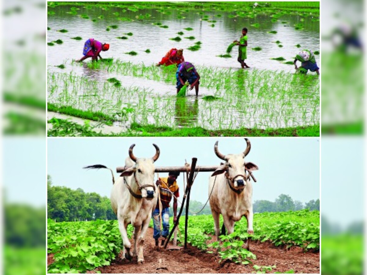 Dismantling agriculture