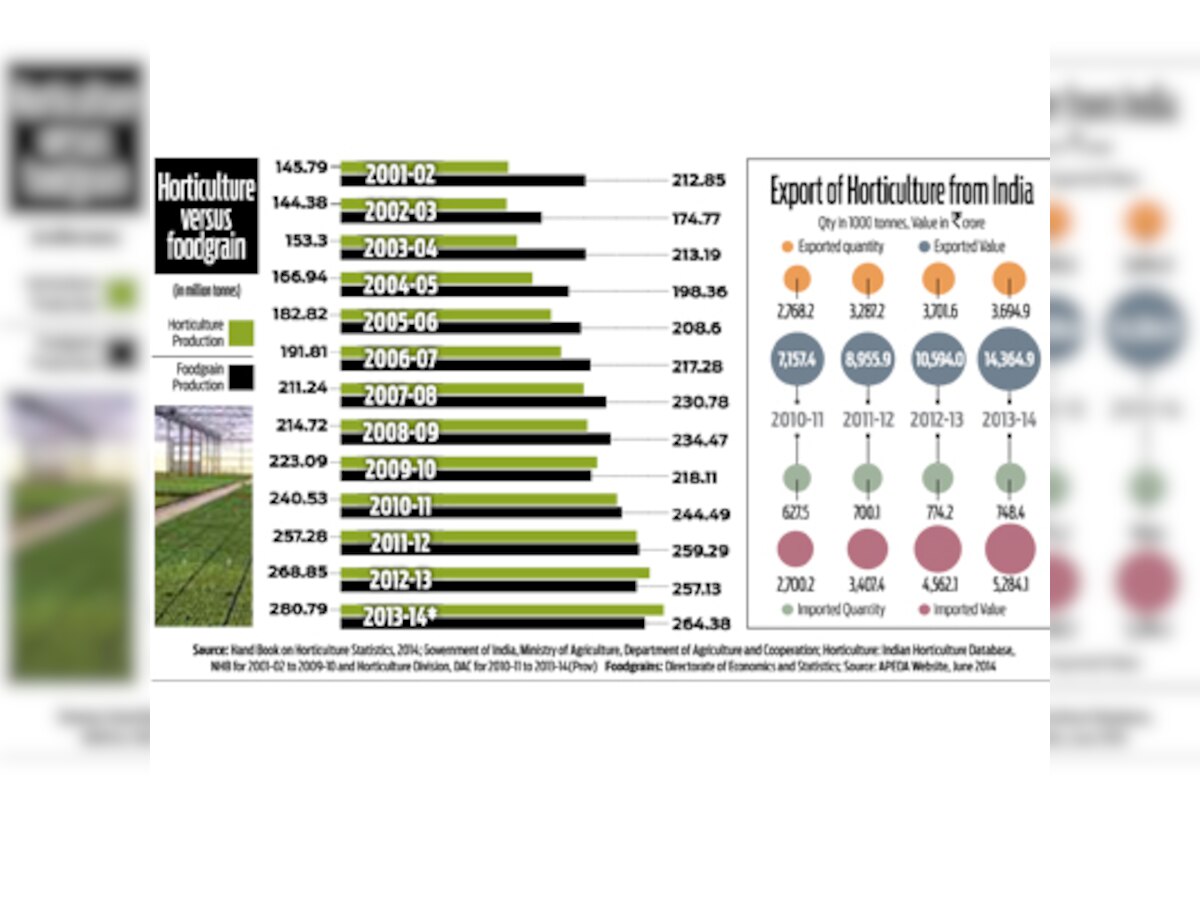 Policy Watch: The horticulture miracle