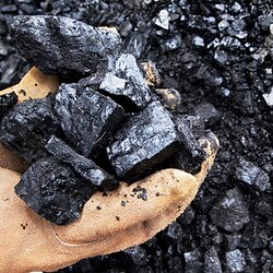 Coal Auction: Hindalco, Jindal Power win one mine each, Govt raises Rs 12,591 crore