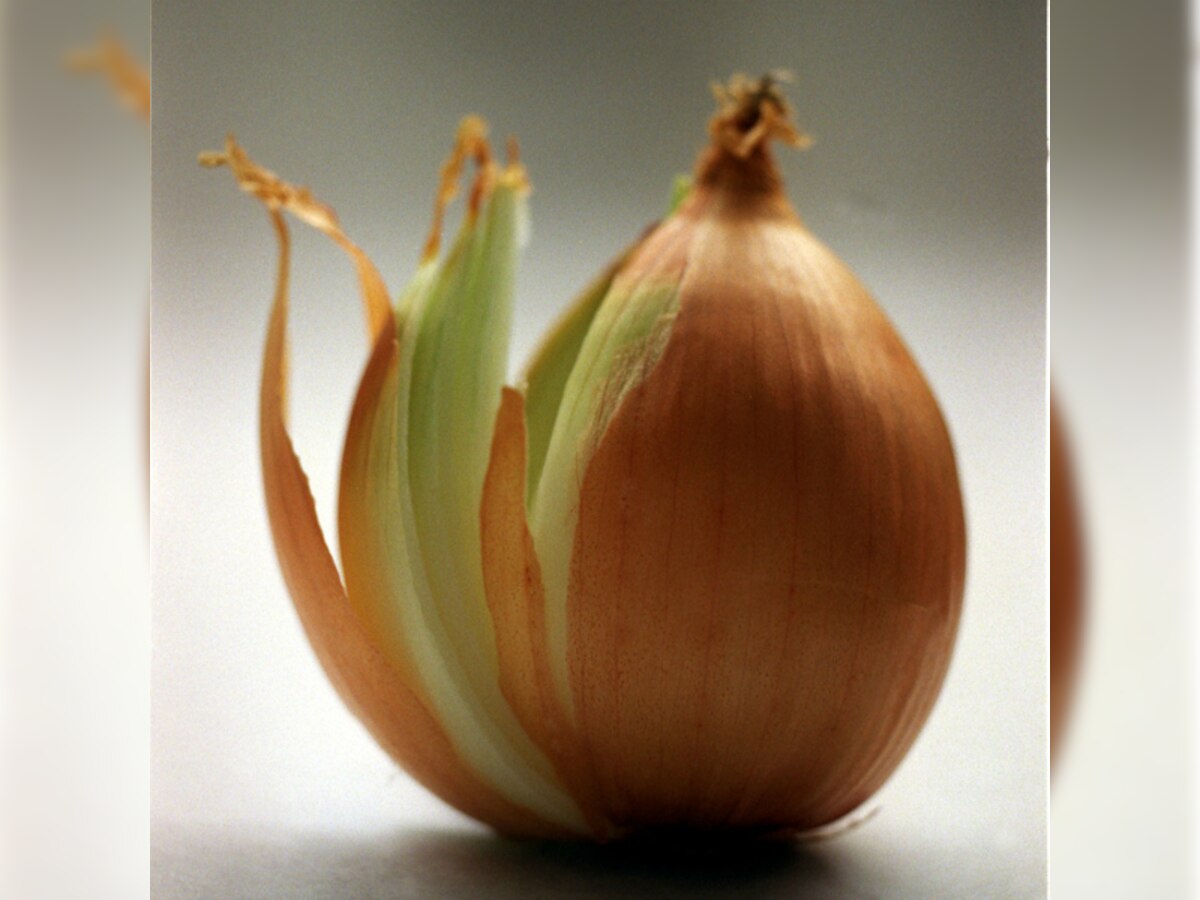 Onion extract may lower high blood sugar, cholesterol, reveals new study