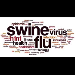 Swine flu claims 40 more lives, death toll crosses 1600 mark