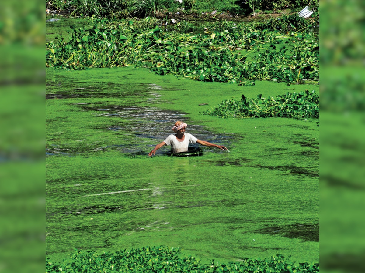 Why our farmers urgently need help 