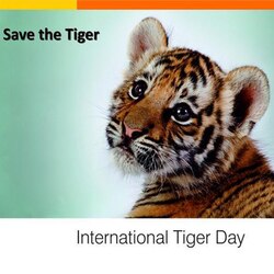 #SaveOurTigers trends on Twitter on the occasion of World Tiger Day