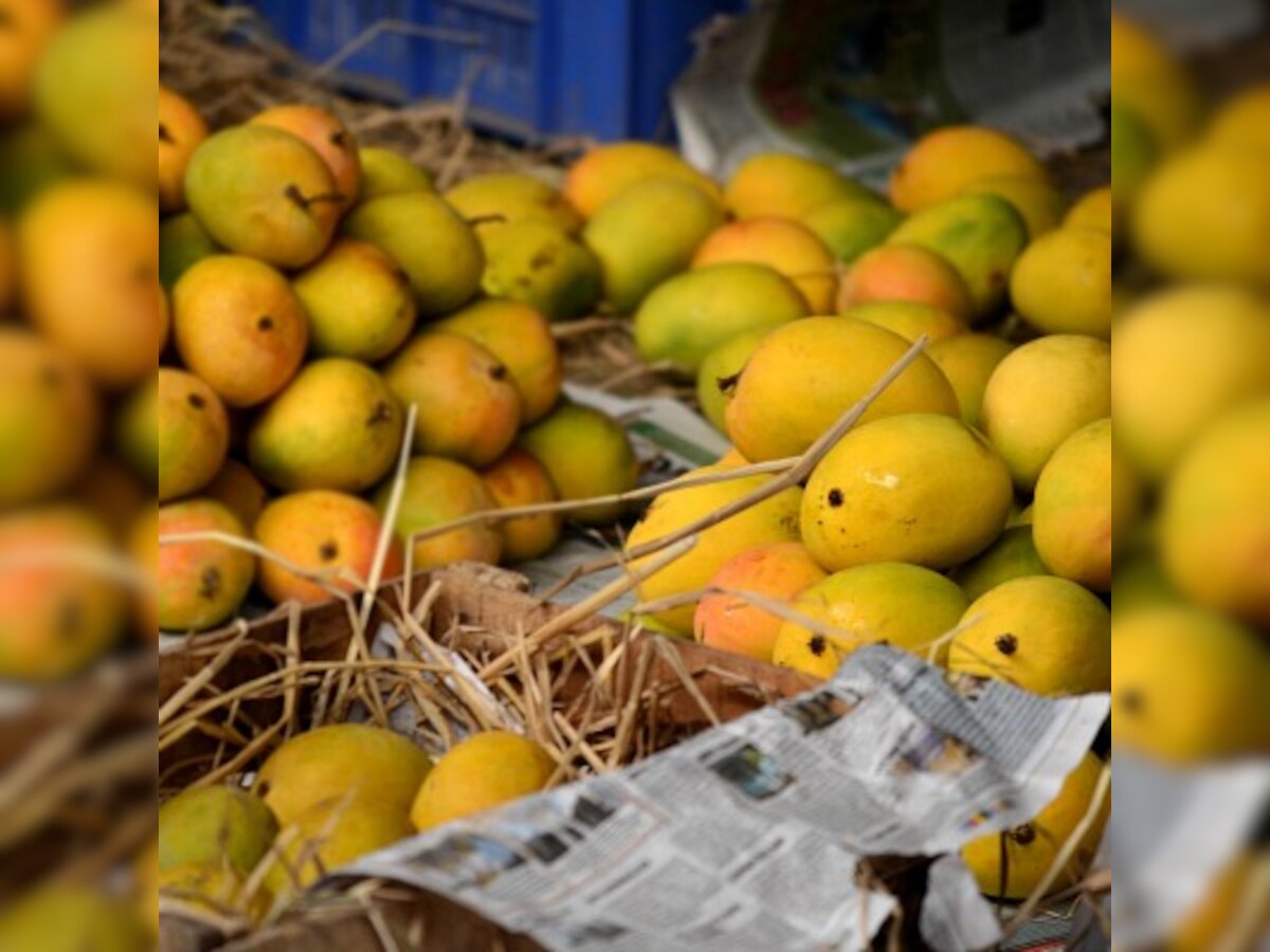 This year, alphonso mango beyond common man's reach