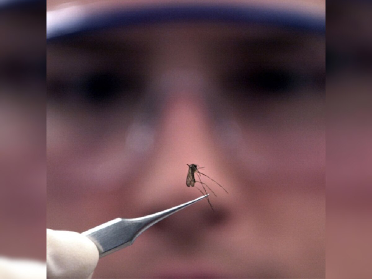 Researchers identify molecular mechanism responsible for making malaria parasites drug-resistant