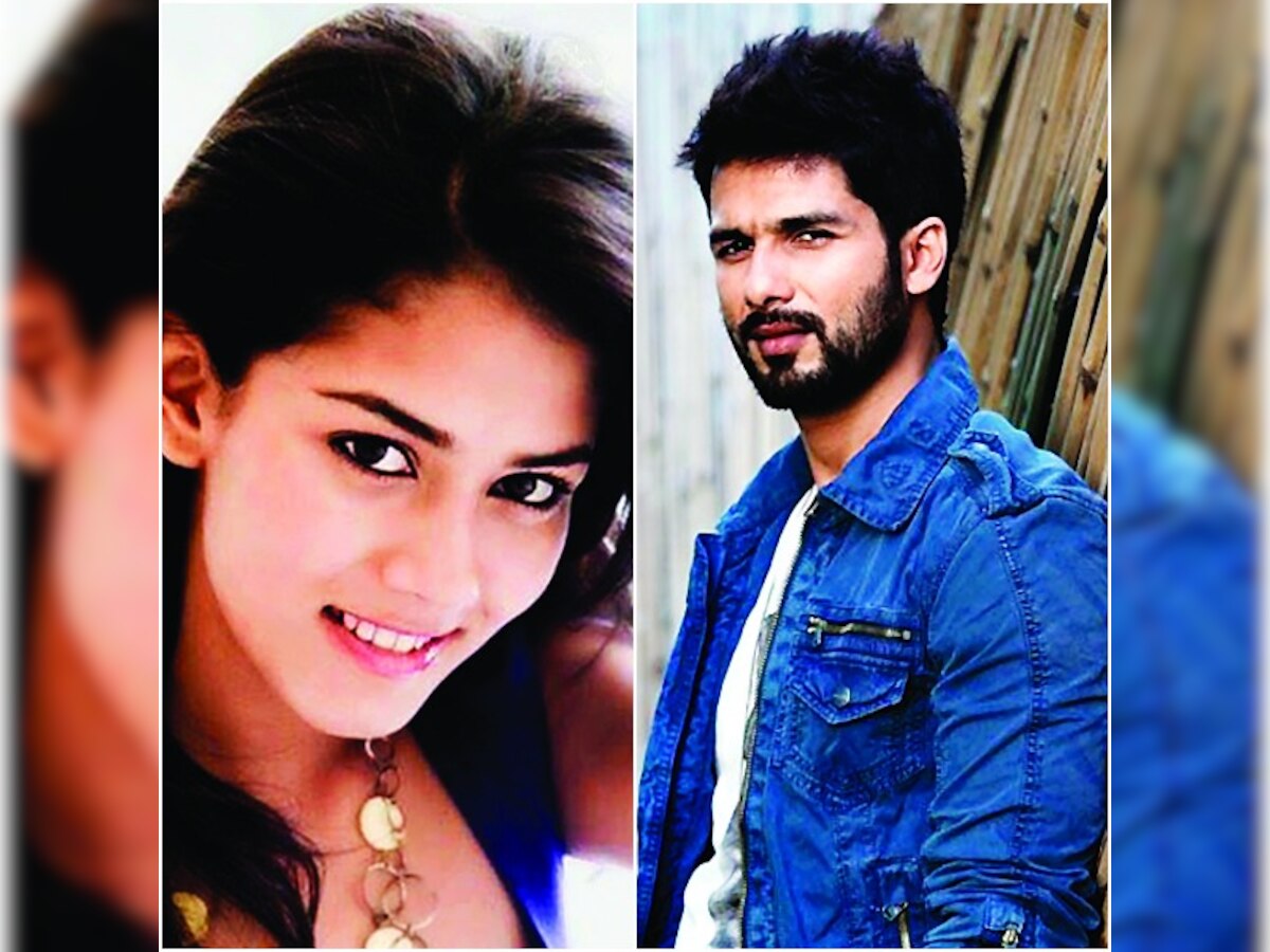 Shahid Kapoor's shaadi in June