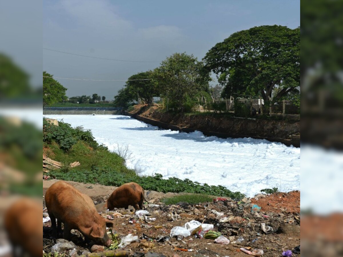 Foaming of Bengaluru lake matter of serious concern: CSE