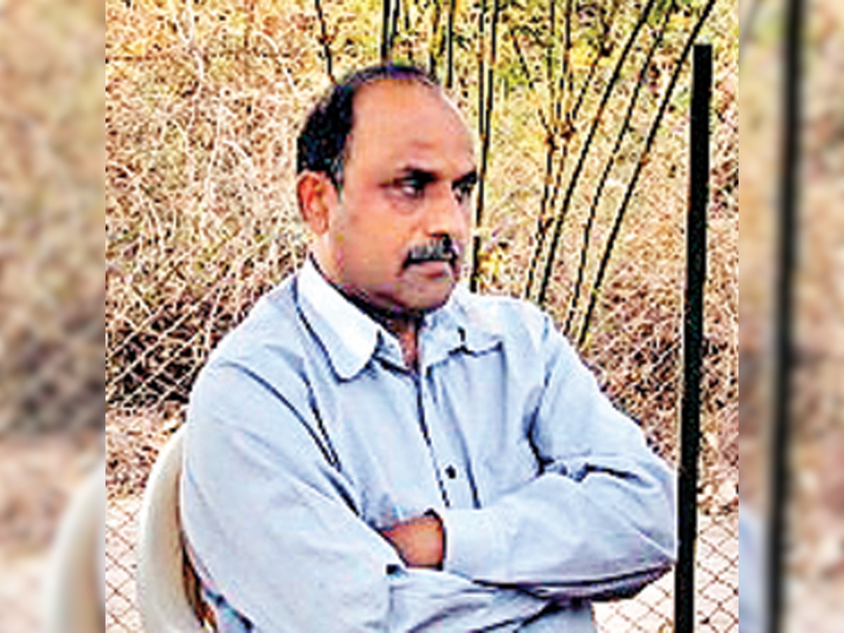 Mumbai's vulture breeding programme has fizzled out: BNHS