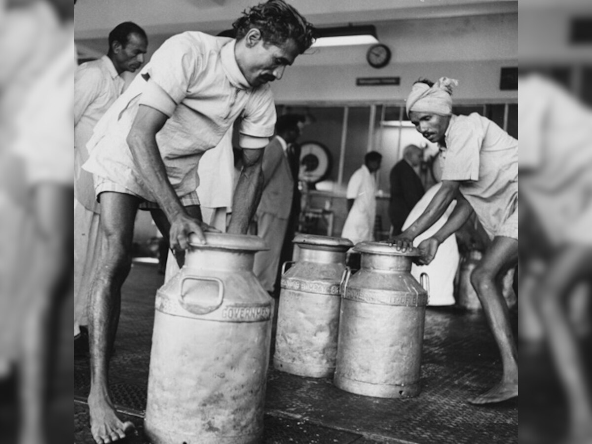 Maharashtra govt asks milk cooperative societies to cut rates