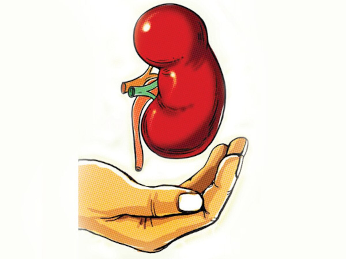 Legal hurdles loom large for 3rd domino procedure