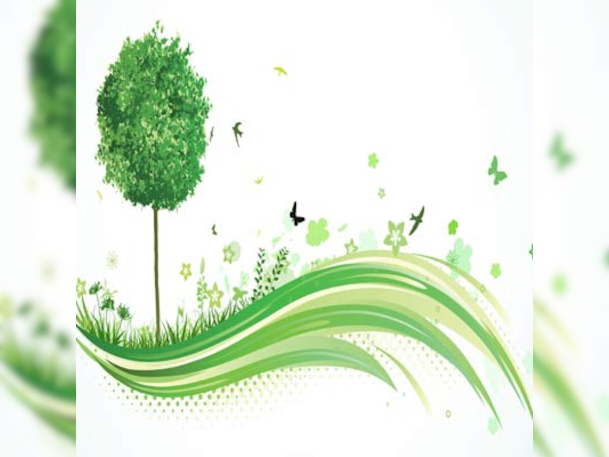 Thane Municipal Corporation starts campaign to increase green cover