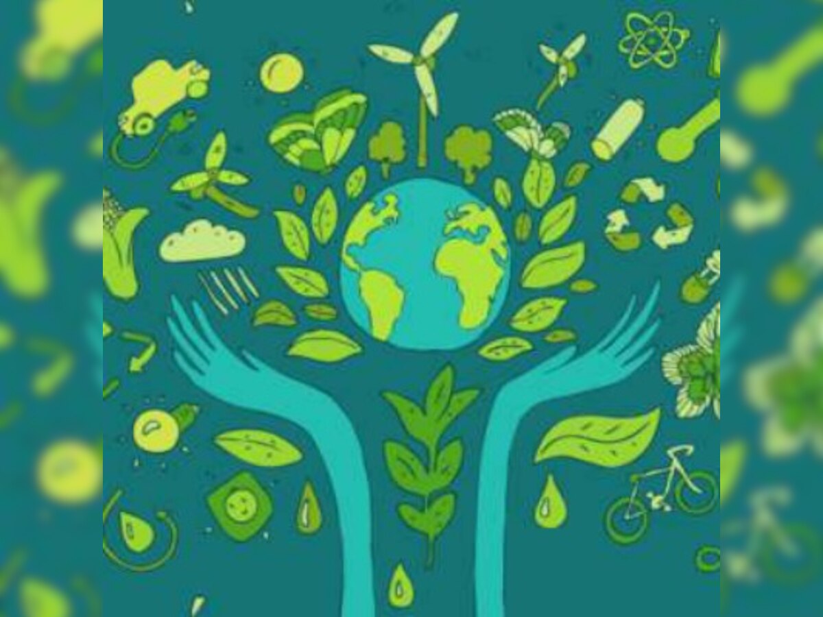 World Environment Day – 20 practical tips to be more eco-friendly