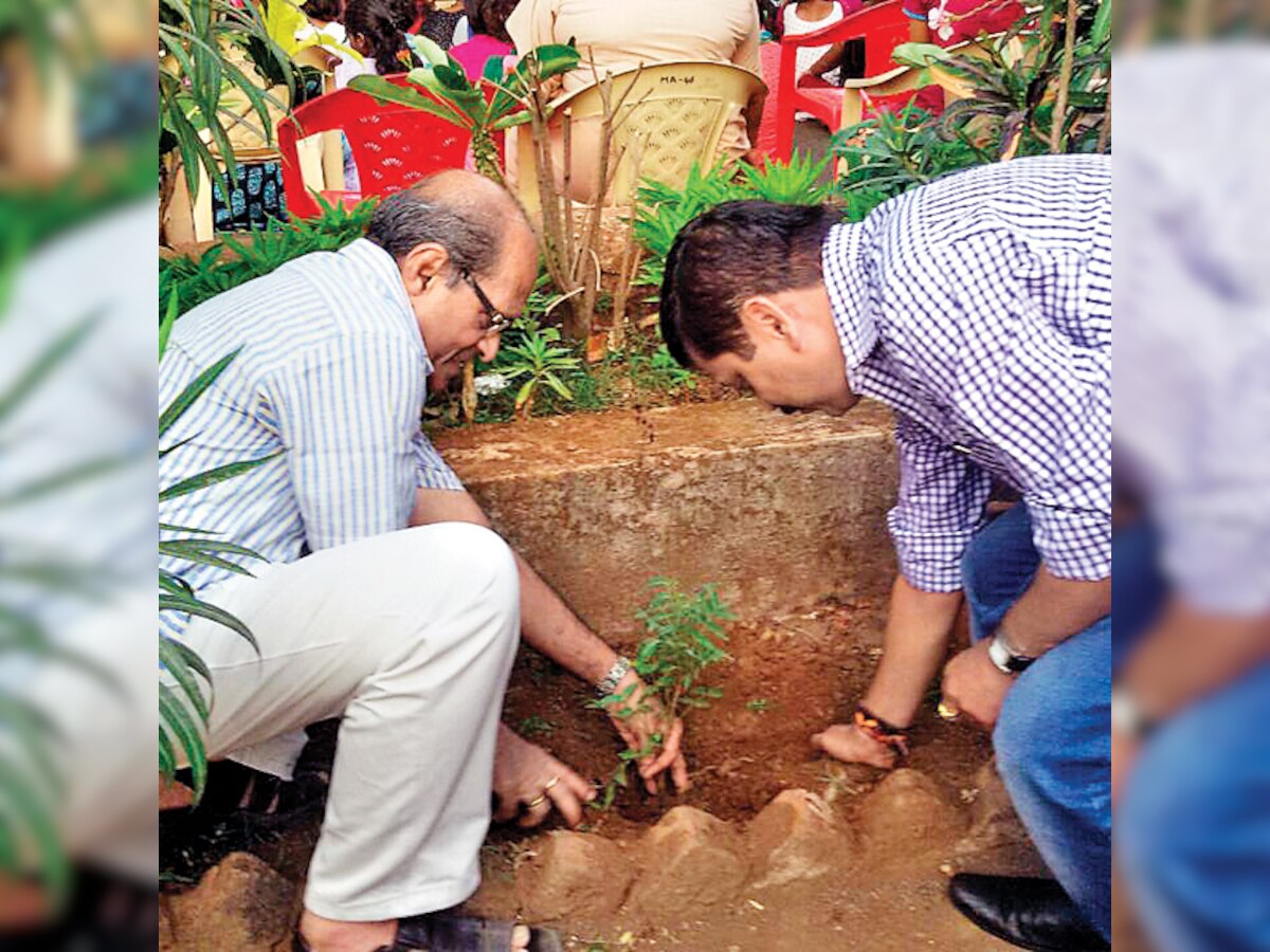 Thane societies go green on World Environment day