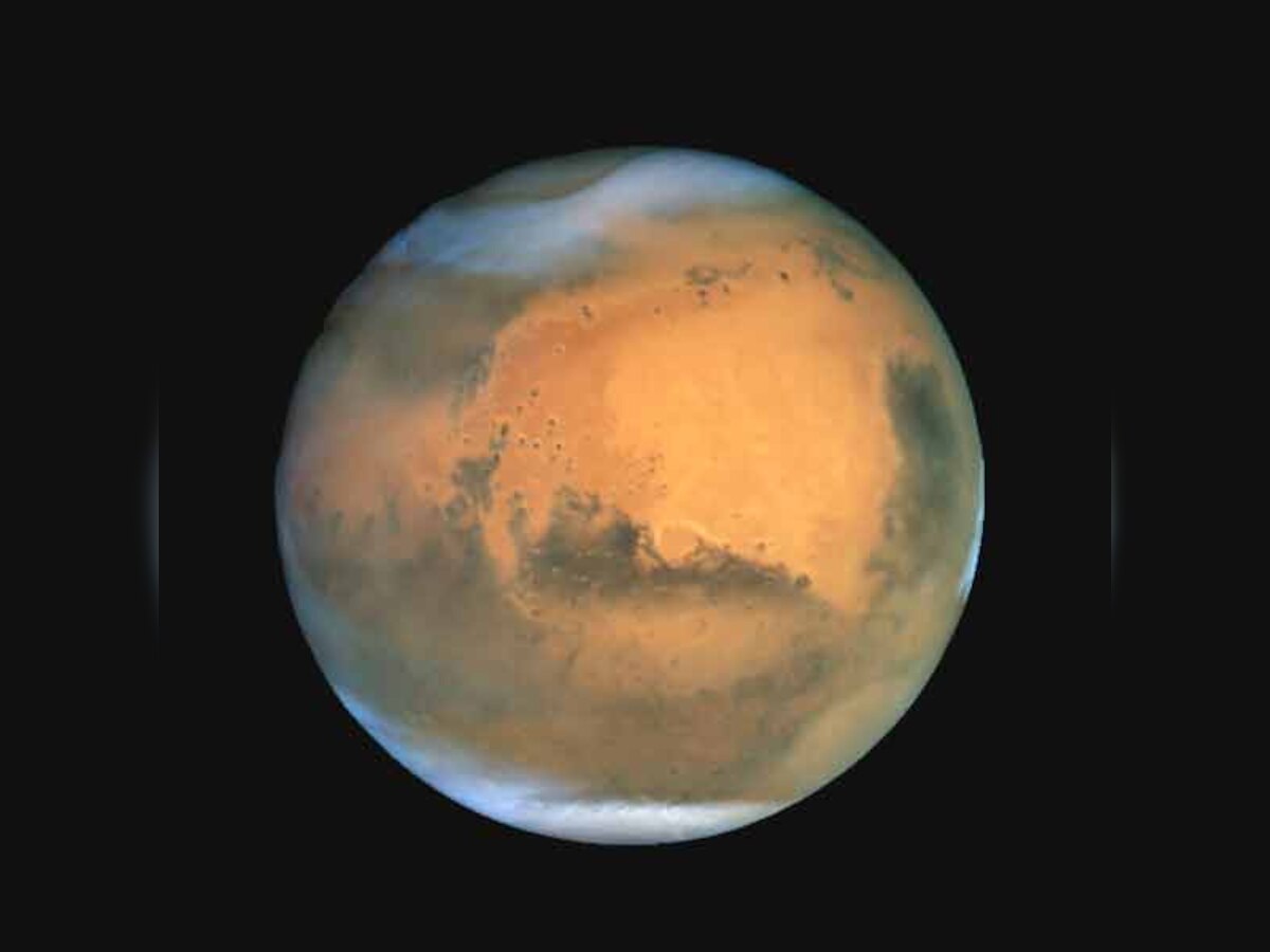 Oldest organisms on Earth capable of surviving on Mars